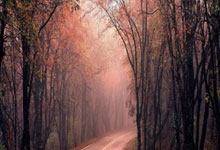 拼多多网上购物入口登录不上,拼多多登不上去了买的东西还给发货吗