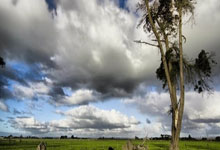 音乐综艺节目有哪些好看的电影,音乐综艺哪个好看