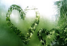 拼多多网上购物入口登录不上,拼多多登不上去了买的东西还给发货吗