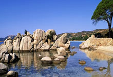 新闻女王2粤语版在哪个平台看,新闻女郎