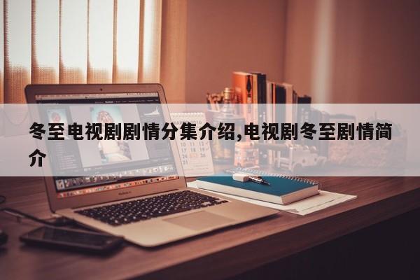冬至电视剧剧情分集介绍,电视剧冬至剧情简介